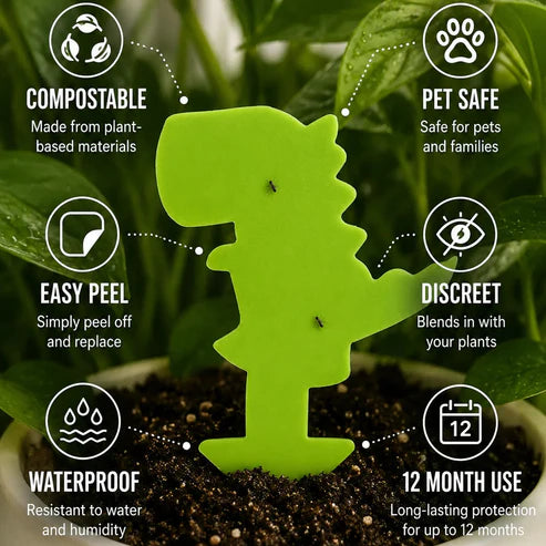 Dinosaur Gnat Traps Pack of 10