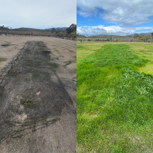 LIQUID BIOCARBON | LIQUID BIOCHAR