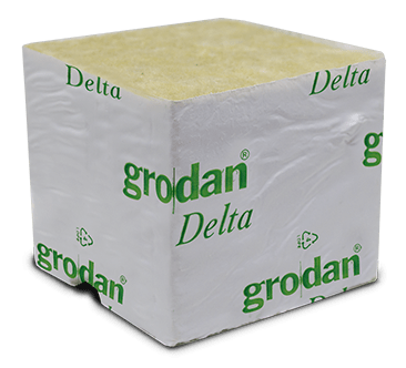 Grodan Rockwool Cubes