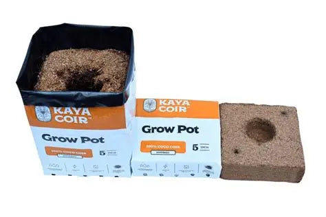 Compressed Grow Pot (Various Sizes)