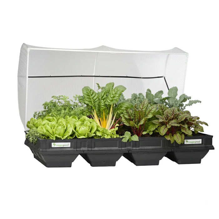 Vegepod Large Raised Garden Bed with VegeCover 2m x 1m