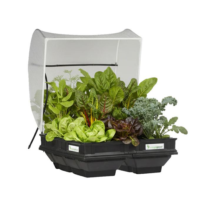 Vegepod Medium Raised Garden Bed with VegeCover 1m x 1m