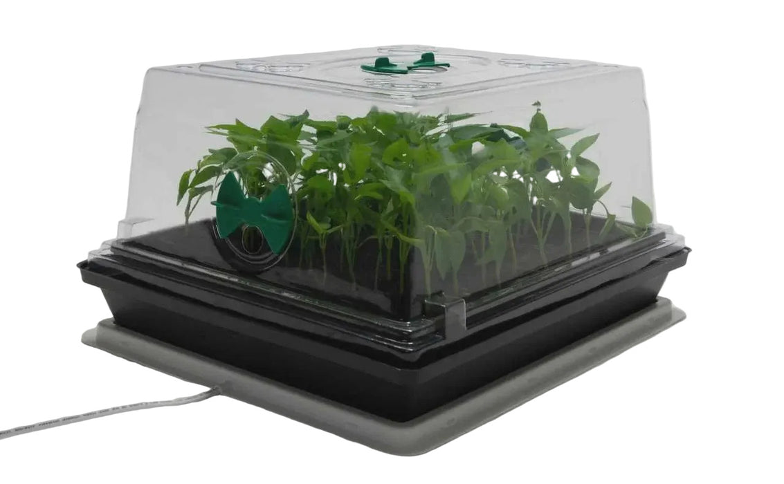 Heat 'n' Grow Propagation Set