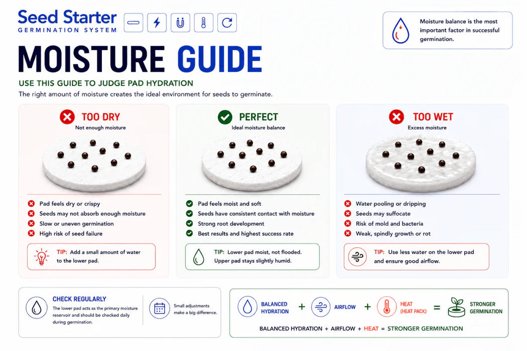 Sprout by Seed Starter + Heat Pack Seed Germination Kit