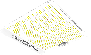 Ulight 320 Watt ECO Led