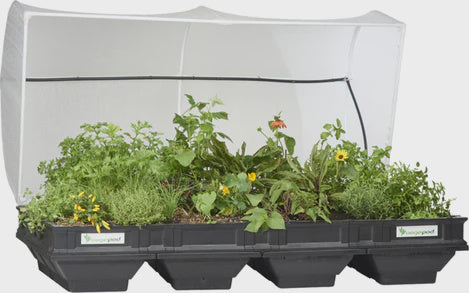 Large Vegepod Starter Kit