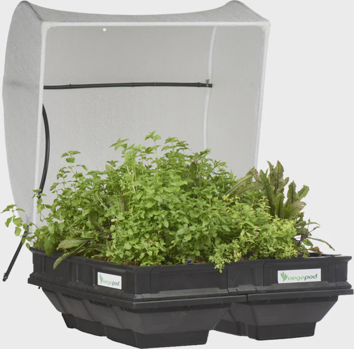 Medium Vegepod Starter Kit