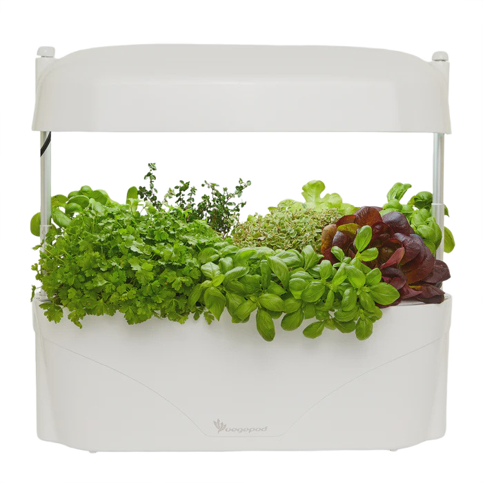 Vegepod Kitchen Garden