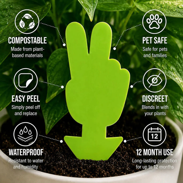 Victory Gnat Traps Pack of 10
