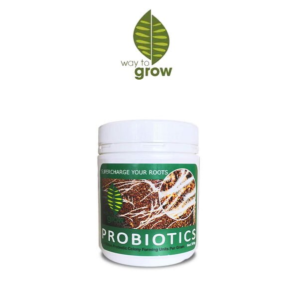 W2G Probiotic 300 g