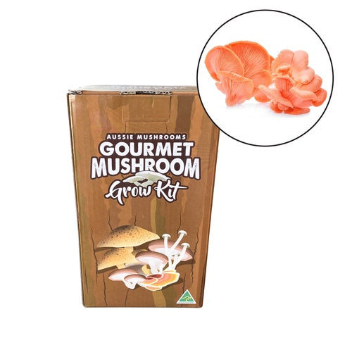 Aussie Mushroom - Ready To Grow Kit - Pink Oyster (Warm Climate)