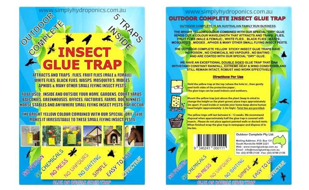 Pest Control - Insect Glue Traps 10 Pack
