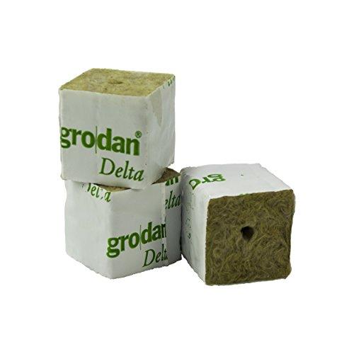 Propagation - Grodan Rockwool Cubes