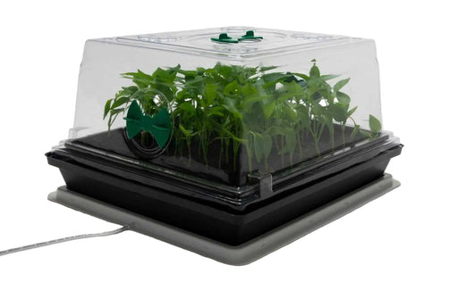 Propagation - HEAT N GROW PROPAGATION SET 3
