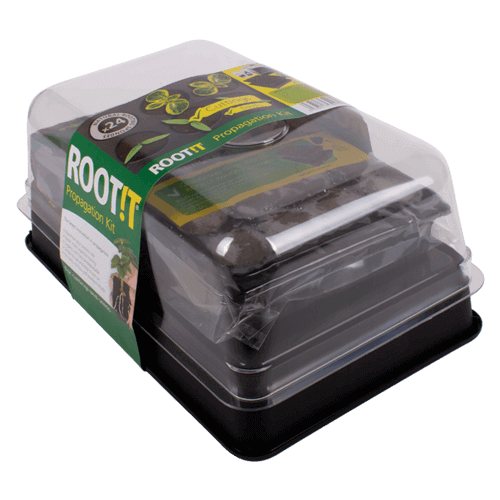 Propagation - RootIT - Rooting Sponge Propagation Kit