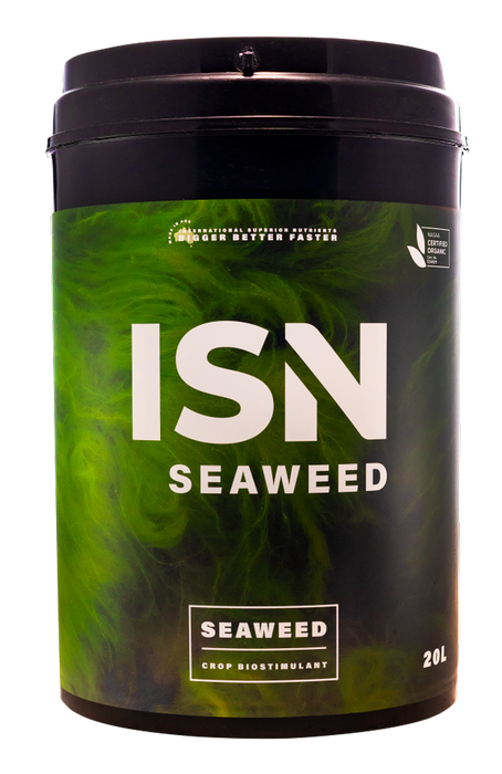 ISN Seaweed