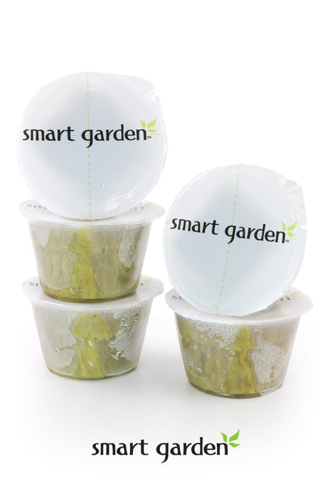 Smart Garden Propagation Clone Cup